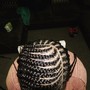 Two Strand Twists