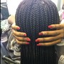 TWO LAYER FEEDER Braids SMALL