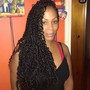 Havana twist  16 inches