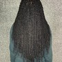 Passion  Twists waist length