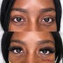 Volume Set of Eyelash Extension