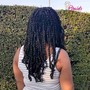 Individual Passion Braids/Twists (Medium)