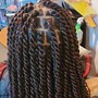 Tree Braids