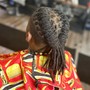 Natural Hair  Twists or Flat Twists style