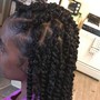 Natural Twists (mini)