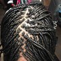 Feed in Braids