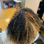 Root Touch Up