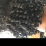 Natural Perm Rods