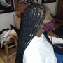 Individual Braids