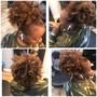 Root Touch Up