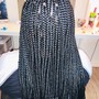 Goddess Braids Medium