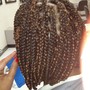 Havana,MarleySenegelese, Rope Twists ( large)