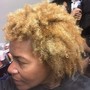 Root Touch Up