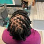 Starter Locs