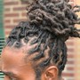 Starter Locs