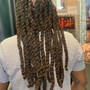 Starter Locs