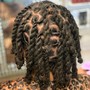 Starter Locs