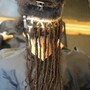 Root Touch Up