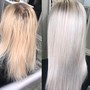 Blonde Root Touchup