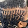 Freestyle Feed-in Braids