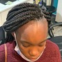 Poetic Justice Plaits