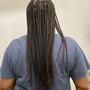 Boy/Men basic  Braids 5-12 braids