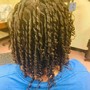 Natural Twists