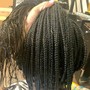 Poetic Justice Braids