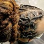 Kid's Braids(No Added Hair