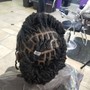 Starter locs