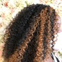 Natural Twists