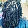 Marley Twist ( 2 strands twist)