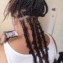 Braided Ponytail/Bun small