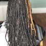 Roots touch up