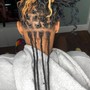 2 Strand Twist Starter Locs