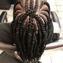 Tribal Braids with natural hair