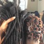 Starter Locs