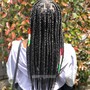 Bohemian Knotless Box Braids Med/Lrg