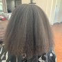 (Front) Gray Root Touch Up with Silk Press