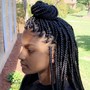 Feed in Braids (2 layers )