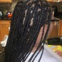 Feed-in Braids