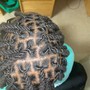 Large passion Twists