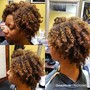 Root Touch Up