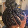 Bob Box Braids- AGES UP TO 17!