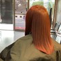 Transitioning Cut (does not include shampoo)