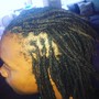 Small Individual Senegalese Twist (mid back)