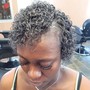 Permanent Color -Root Touch Up