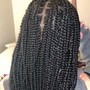 Poetic Justice Braids