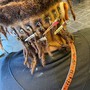 Loc retwist shampoo and rods