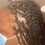 Large Senegalese Twist (Adult)